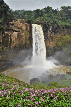 ekom waterfall