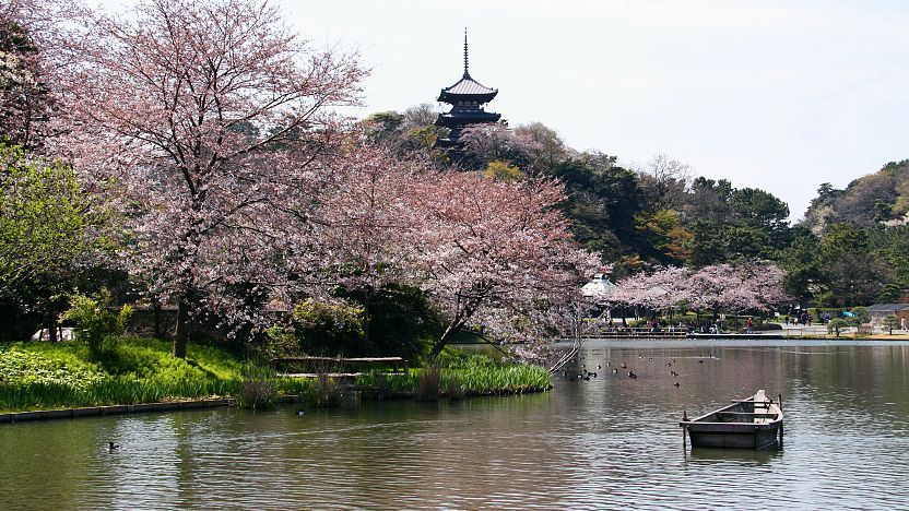 sankeien garden Yokohama