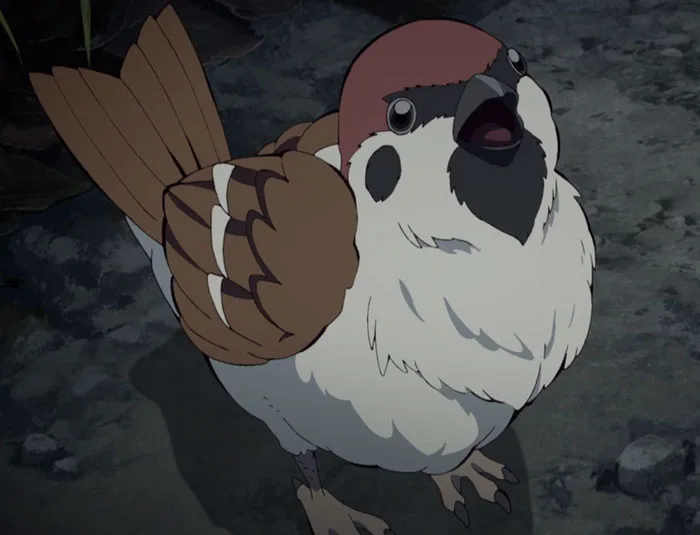 Chuntaro, 35+ Best Anime Animals in Anime Series and Movies