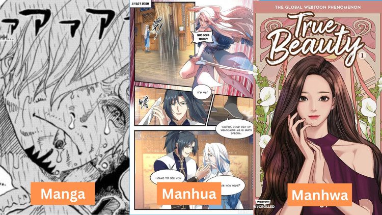 Understanding the Differences A Comprehensive Guide to Manga, Manhua, and Manhwa
