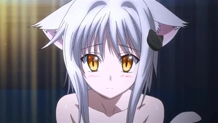 Koneko Toujou (High School DxD): Ranking Your Best Female Anime Characters With White Hair